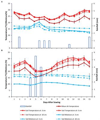 Genetic Variability for Early Growth Traits in Second Season Sunflower